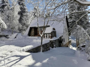 TANJA VILA Kopaonik